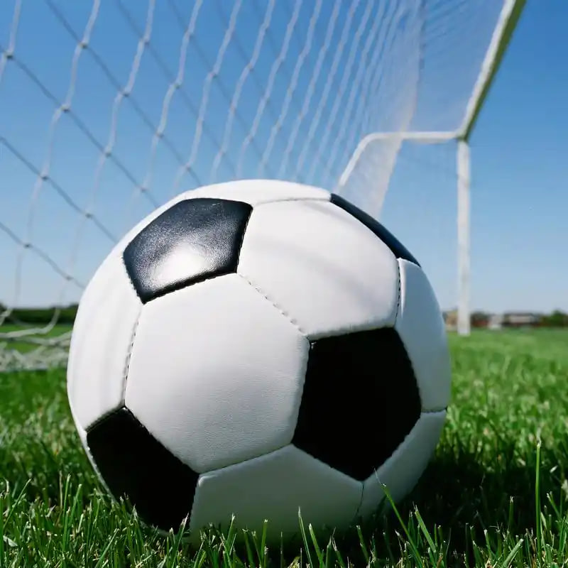 足彩预测分析平台使用流程示意图